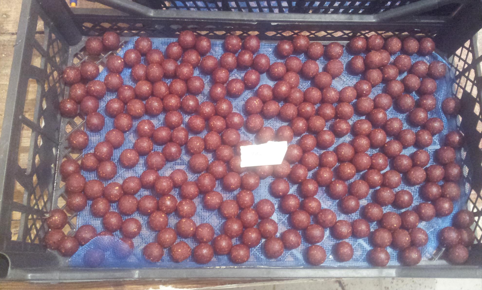 Pregatiri 2014 - vol. 2 - Eu fac altfel de teste si antrenamente pt carpbook :)